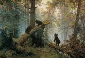 Искусство. Фотопечать для дверей шкафа купе